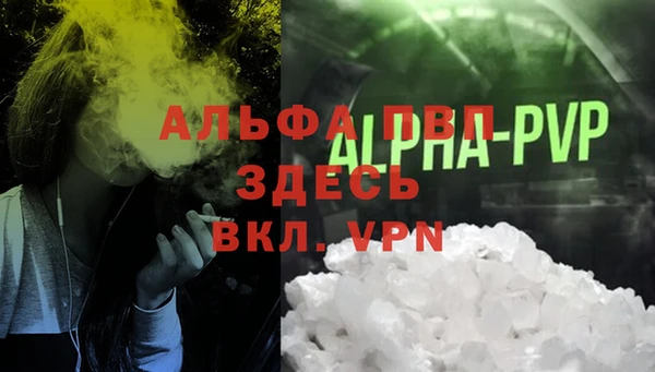 молекула духа Горняк