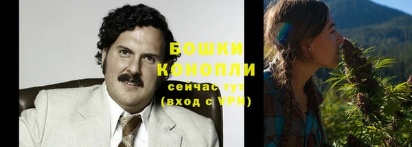 молекула духа Горно-Алтайск