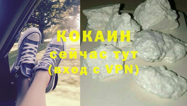 молекула духа Горно-Алтайск