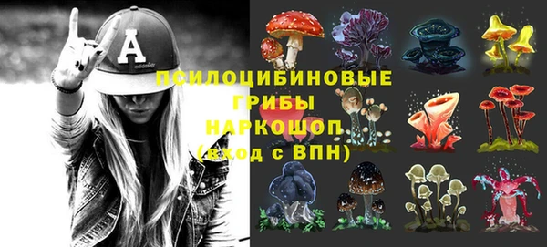 шишки Костерёво