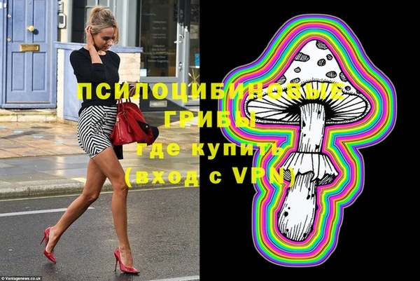 молекула духа Горняк