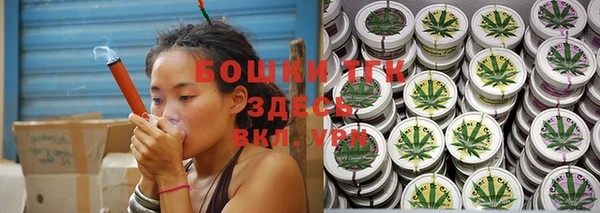 молекула духа Горняк