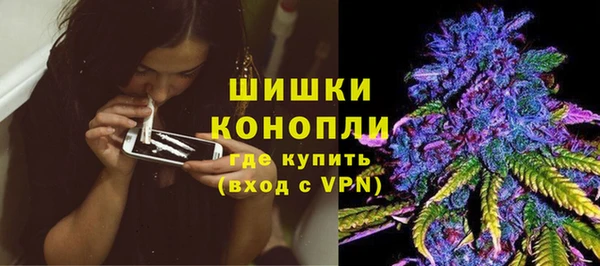 молекула духа Горняк
