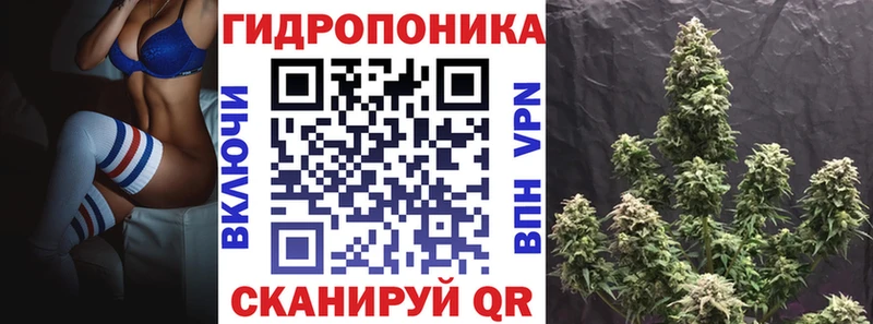 Марихуана индика  Меленки 
